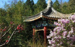 校園風光